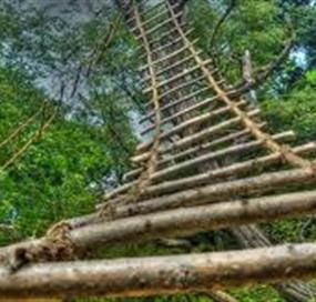 Ladder Ropes